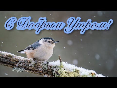 💙❄☕С ДОБРЫМ УТРОМ И ХОРОШЕГО ДНЯ!☕❄💙