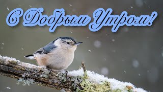 💙❄☕С ДОБРЫМ УТРОМ И ХОРОШЕГО ДНЯ!☕❄💙