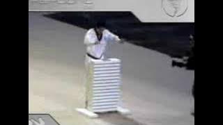 Team TaePoong TKD Demo