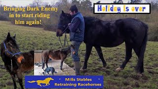 Bringing In Dark Enemy From The Holiday And Retirement Fields