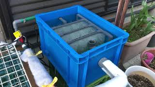 錦鯉 自作濾過器 Youtube 錦鯉 自作濾過器 Youtube