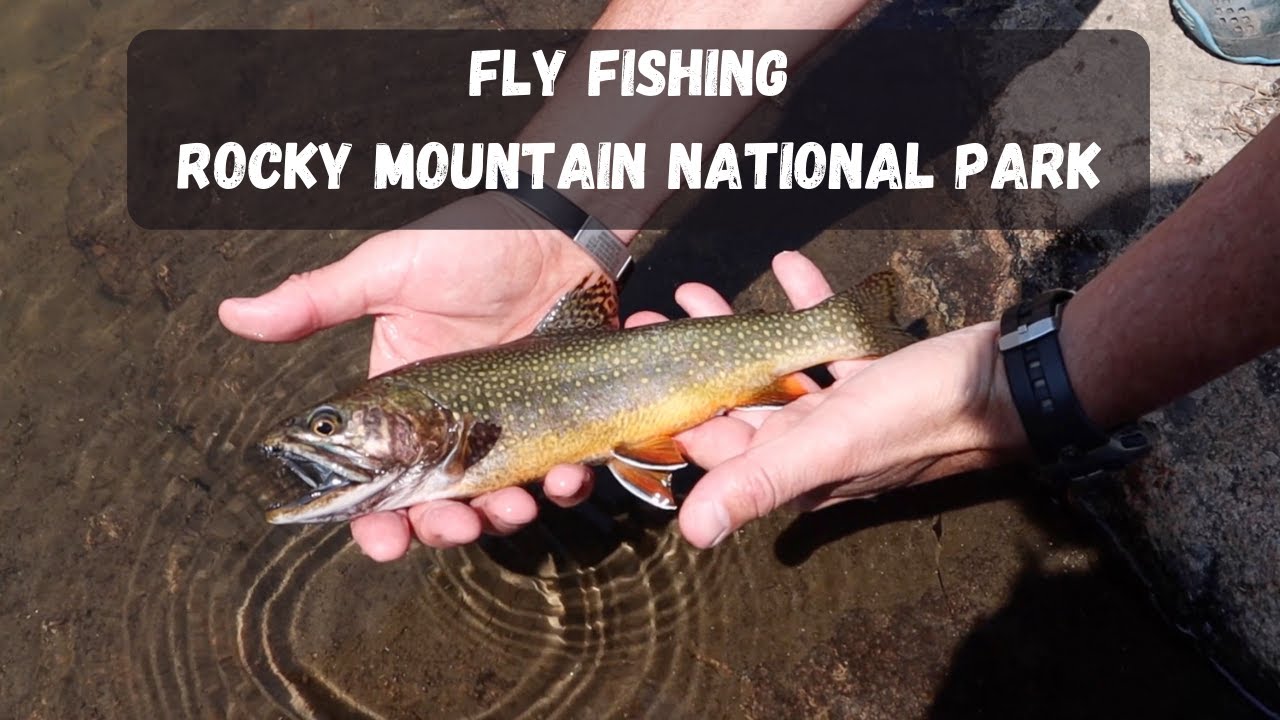 Fly Fishing Rocky Mountain National Park Cutthroat and Brookies