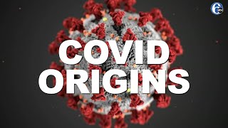 WHO team: COVID-19 unlikely to have leaked from China lab