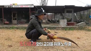 hot A Man Who Controls 100 Animals   221116