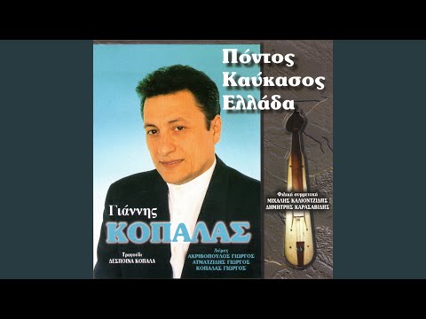 Το παρχαρόπουλον