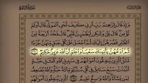 تلاوة من سورة البقرة للقارئ عبدالرحمن الرشود