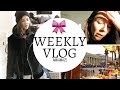 Es ist noch nicht vorbei   weekly vlog 16  ankamaze