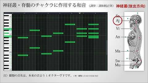 【調和純正律で遊ぼう】チャクラに作用する和音（神経叢・脊髄） - Chords to activate Chakras using Harmonious Pure Intonation