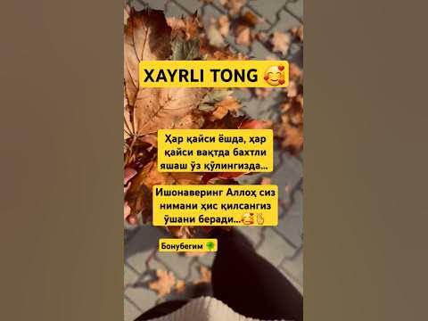 Seks porno video Ukraina Shaxsiy guruh porno surat