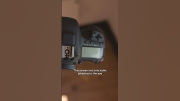 Do They Have Good Displays? Canon 7D Mark II vs Canon T7