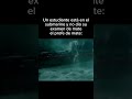 Todo sea para verte jalar curso