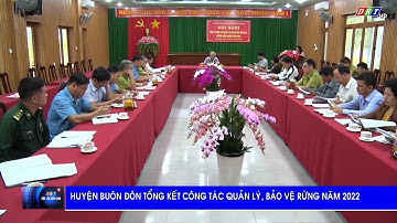 Huyện Buôn Đôn tổng kết công tác quản lý, bảo vệ rừng năm 2022| Truyền hình Đắk Lắk