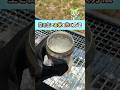 【覚えておきたい】空き缶で炊飯する方法