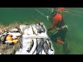 we went hunting fish for Easter