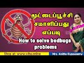 மூட்டைப்பூச்சி சமாளிப்பது எப்படி? | How to solve bedbugs problems?