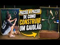 Como construir um gaiolão para calopsita e outros pássaros