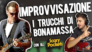 Come JOE BONAMASSA improvvisa con la SCALA MAGGIORE