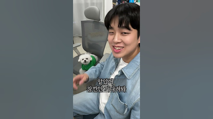 아내한테 레고로 카이 만들어주면 생기는일