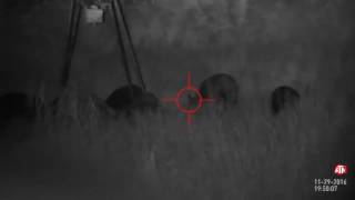 В Сирии боевики использовали оружие с электроникой из России (видео демо) В Сирии боевики использовали оружие с электроникой из России (видео демо)