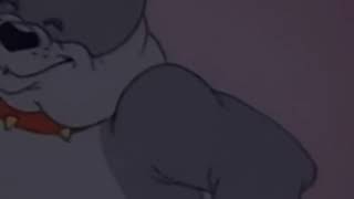 Tom And Jerry Cartoon The Truce Hurts