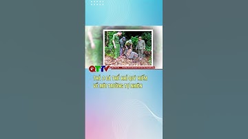 Thả 2 cá thể khỉ quý hiếm về môi trường tự nhiên| QTTV #shorts