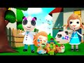 Doutor Panda salva bebês | Desenho Animado | Dolly e Amigos - Brasilia