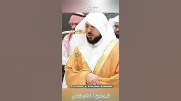 تلاوة خاشعة 🕊 سورة الزمر 🌿  الشيخ أ.د ماهر بن حمد المعيقلي