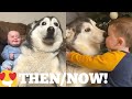 The Amazing 2 Year Story Of My Baby & Husky Becoming Best Friends! [UNSEEN CLIPS]