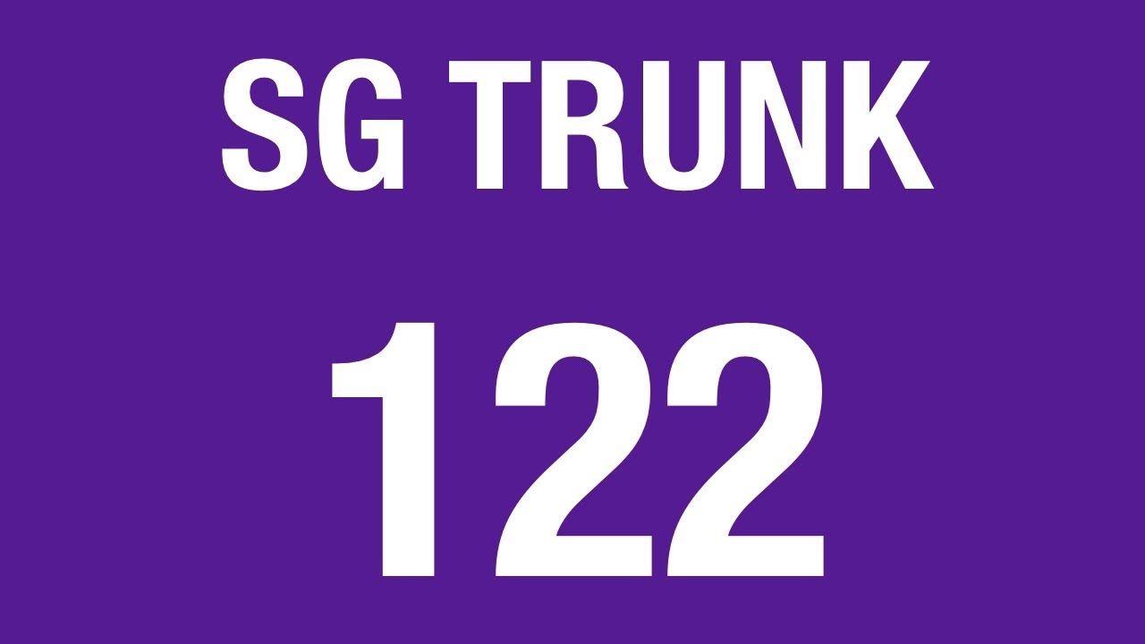 SBS Transit Trunk 122 | Bus Service Hyperlapse