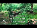 Soul Exhaustion and Your Natal Pluto Energies - Part 1 ~ Podcast