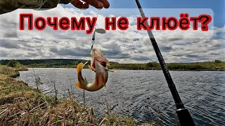 Почему не клюёт рыба? Рыбалка на хищника в мае. by Охотник на щук Pike hunter 10,263 views 1 month ago 29 minutes