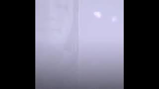 _-_Bayangan Ilusi_-_