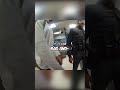 NBA Player Arrested at Airport for Possession #bodycam #police #subscribe
