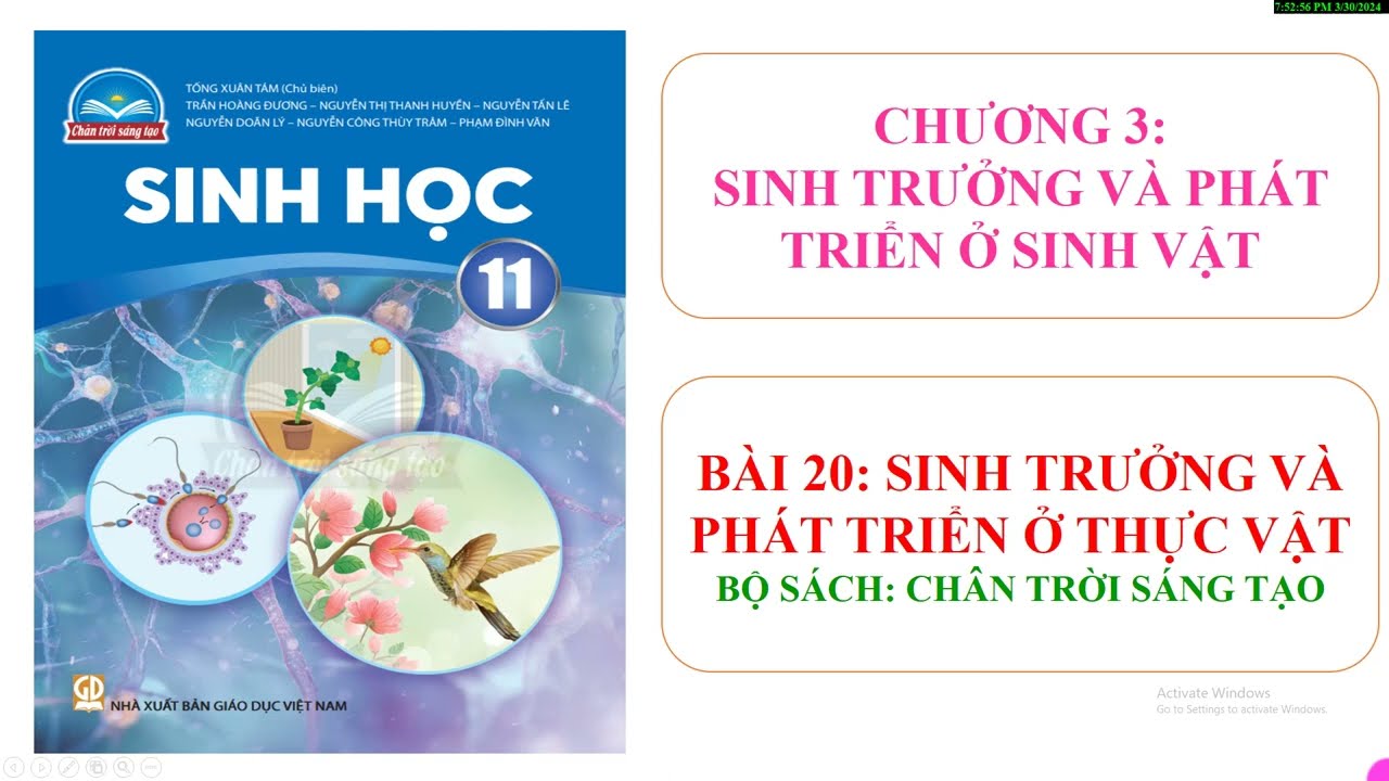 Sinh học 11 Bài 20: Sinh trưởng và pát triển ở thực vật (Phần 1) Sách Chân trời sáng tạo