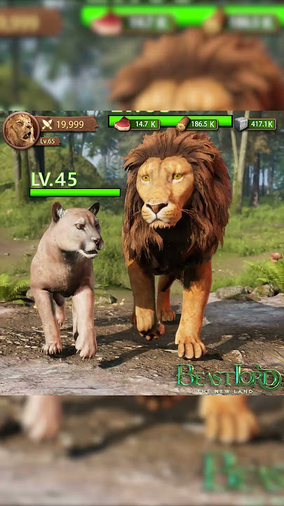 Lion Cub Hunts Alone to Avenge Mother Against a Tiger #lion #tiger #animals #games