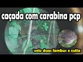 Caçada na Cerva de Cutia deu duas Lambu /ainda veio uma cutia