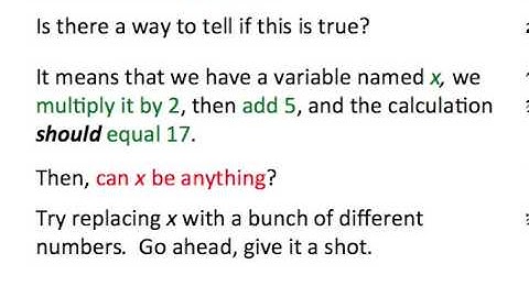 Expressions vs Equations