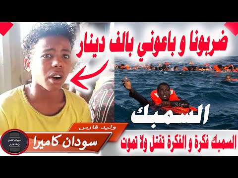 السمبك للسودانيين لن تصدق ماذا يحدث