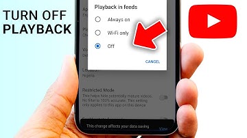 How to Stop YouTube Playback in Browse Feed — Quick Fix!