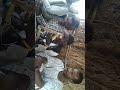ود حنين الابيض ضميرك 