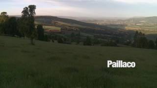 Frutos Del País Capítulo Paillaco/Sur Imágen/TVN. Parte 1 Presentación