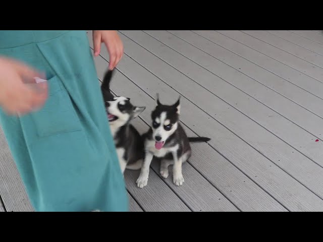 Milly video thumbnail