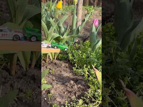 Wow 😄💀🚀🥸