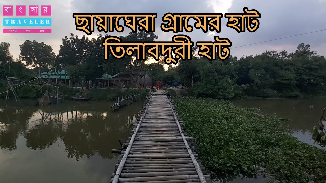 সবুজের ছায়া ঘেরা হাট তিলাবদুরি হাট। এটাই আত্রাই, নওগাঁ।
