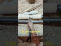 amazing woodturning #amazing #ytshorts #woodworking