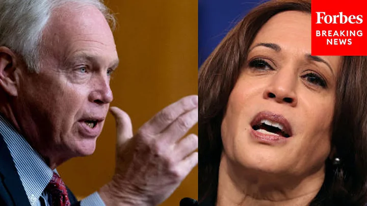 Ron Johnson slams VP Kamala Harris being put in charge of fixing border surge