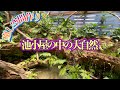 【究極の池小屋作り】④室内に広がる大自然を作る