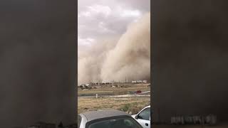 WhatsApp Video 2020 09 12 at 17 35 07 1