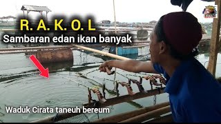 VIP Angling: Don’t Fear the Dark ‼️ Massive Strikes and Plenty of Fish || Latest Cirata Fishing Trip