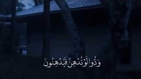 حالات واتس اب قران// بصوت سالم الرويلي// حالات واتس اب دينية// تلاوة خاشعة